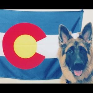 Meet your Posher, William